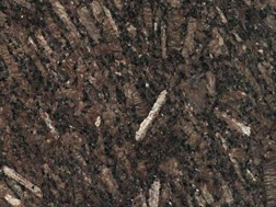 皇(huang)室啡(fei)1號