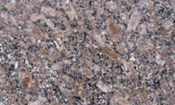 新(xin)品(pin)皇室啡(fei)