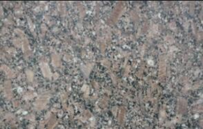 皇(huang)室啡(fei)玫瓌(gui)長(zhang)蘤